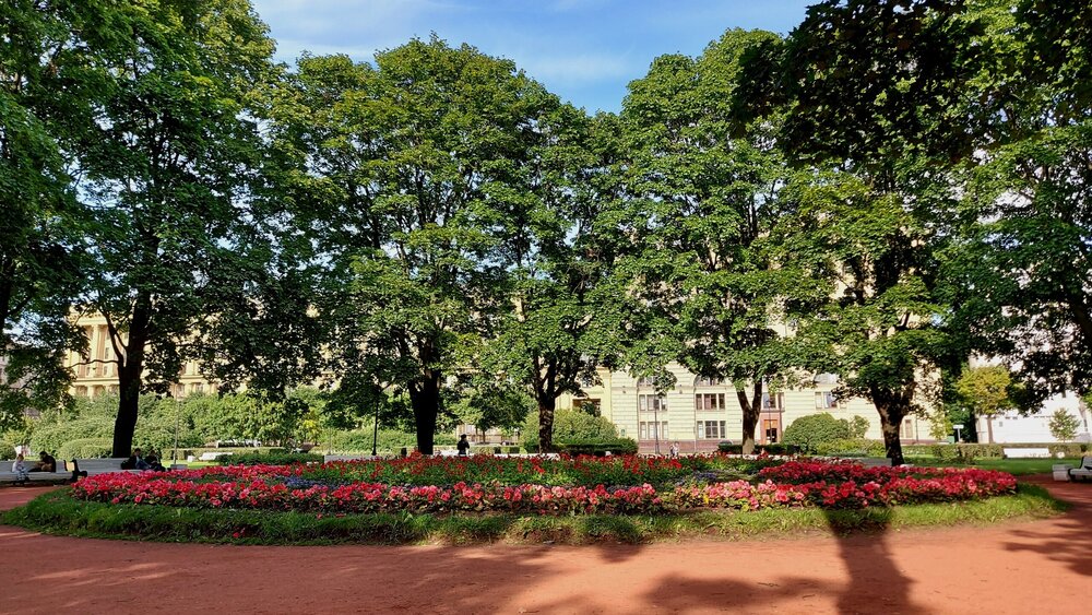 20200806_171021 (1).jpg