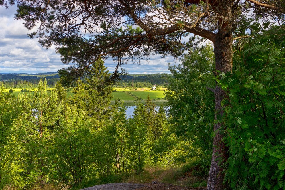 IMG_9762 Парк Ваккосалми.jpg