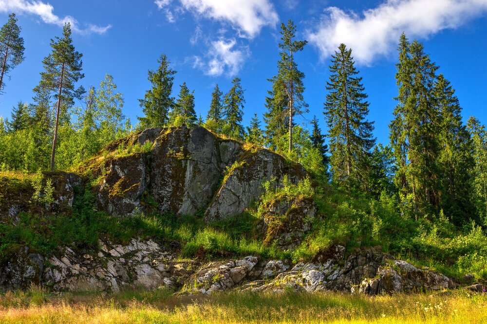 IMG_9777 Парк Ваккосалми Скала.jpg