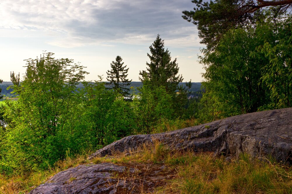 IMG_0953 Парк Ваккосалми.jpg