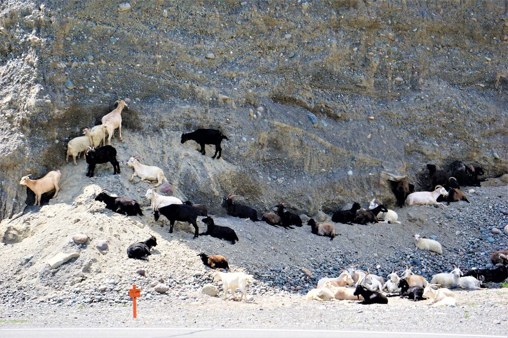 Фотопауза 35.jpg