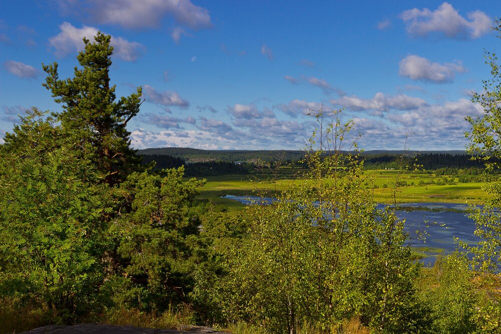 IMG_9760 Парк Ваккосалми.jpg