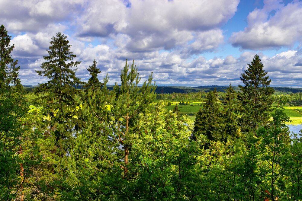 IMG_9757 Парк Ваккосалми.jpg