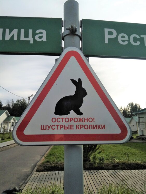 IMG_20200920_152529 копия.jpg