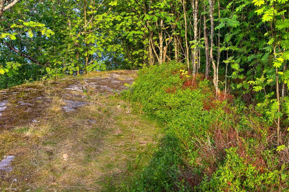 IMG_0951 Парк Ваккосалми.jpg