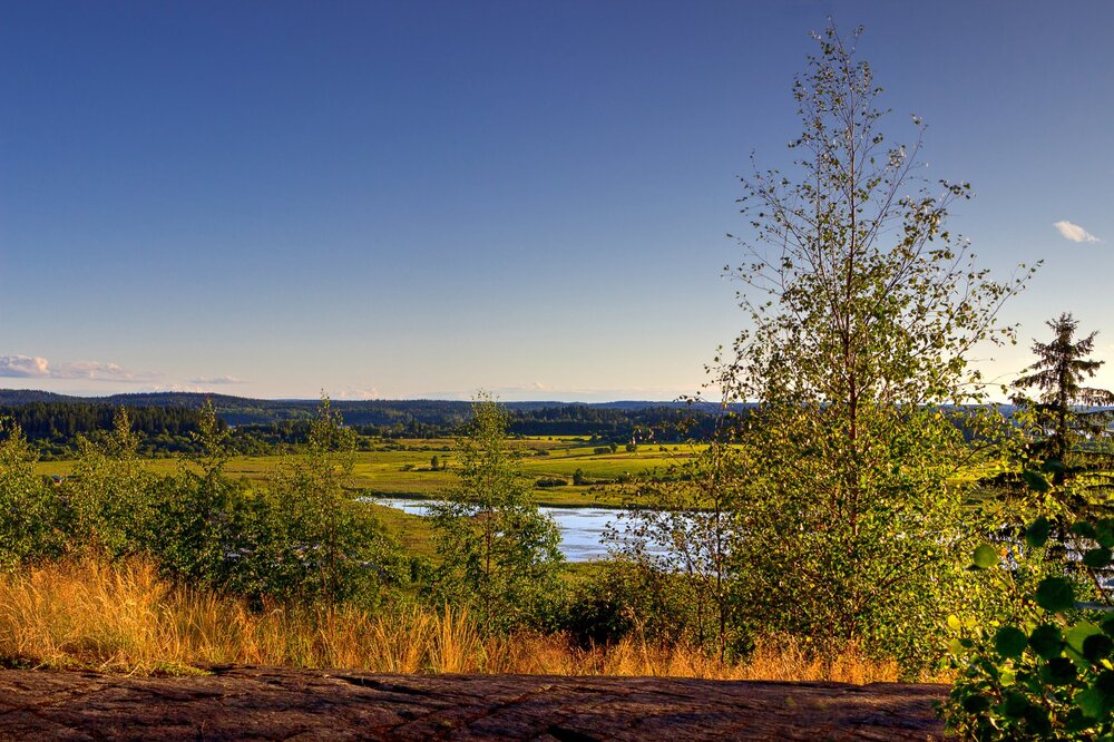 IMG_0411 Парк Ваккосалми.jpg