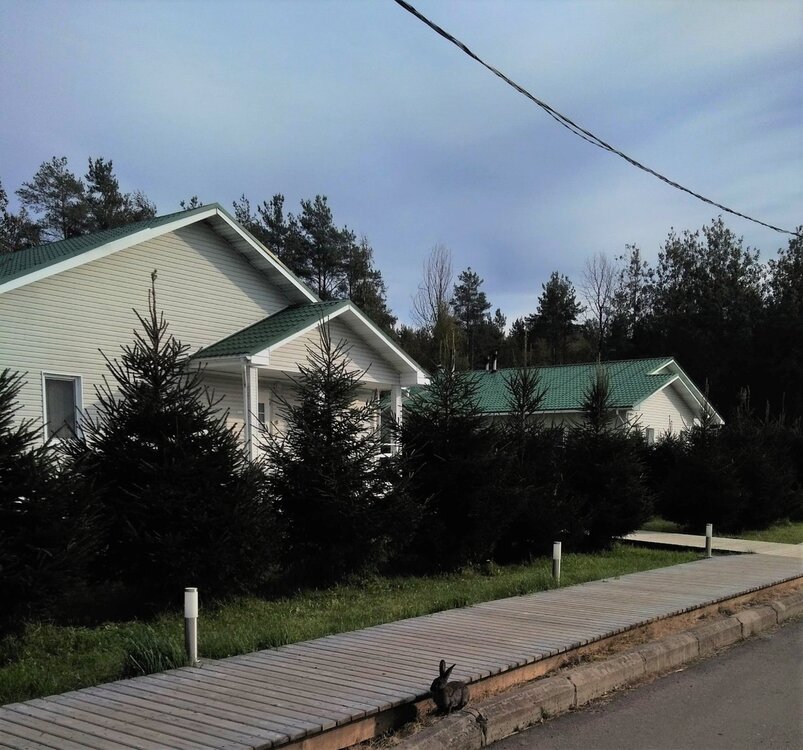 IMG_20200920_152658 копия.jpg