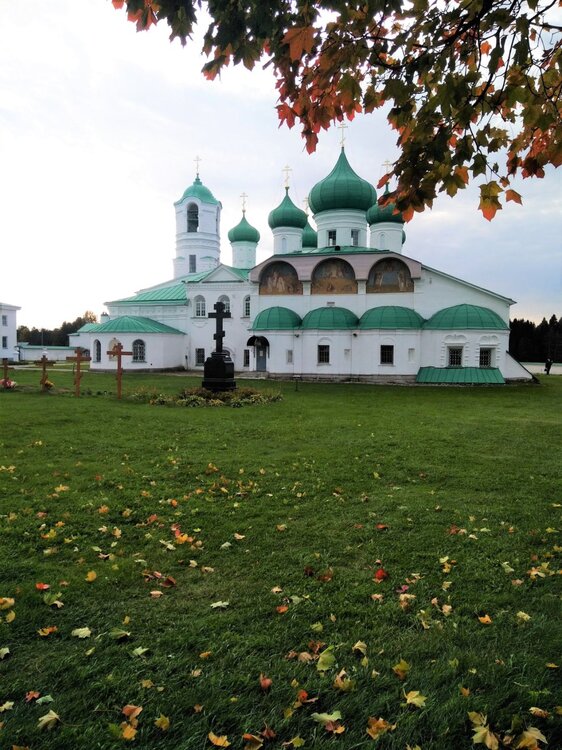 IMG_20200920_162434 копия.jpg