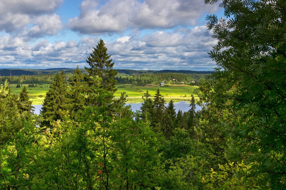 IMG_9755 Парк Ваккосалми.jpg