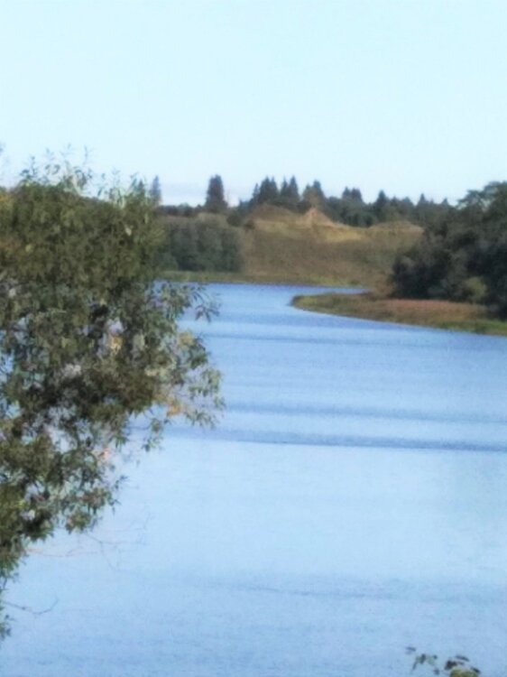 IMG_20200920_110512 копия.jpg