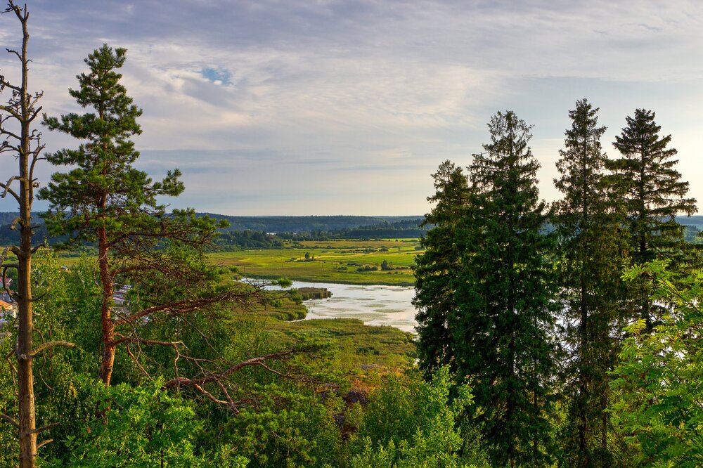 IMG_0952 Парк Ваккосалми.jpg