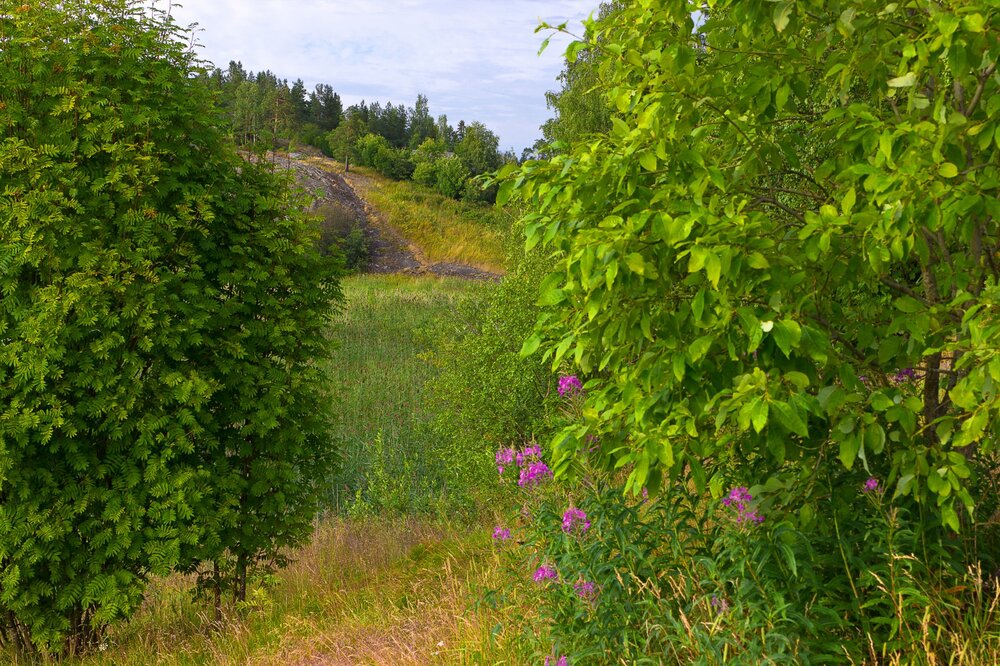 IMG_0913 Парк Ваккосалми.jpg