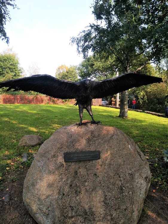 IMG_20200920_115229 копия.jpg