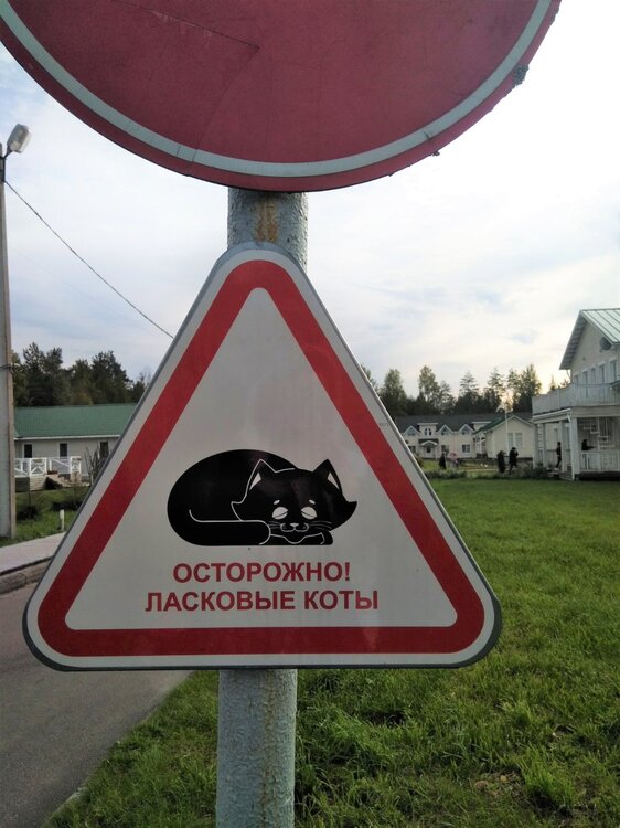 IMG_20200920_150613 копия.jpg