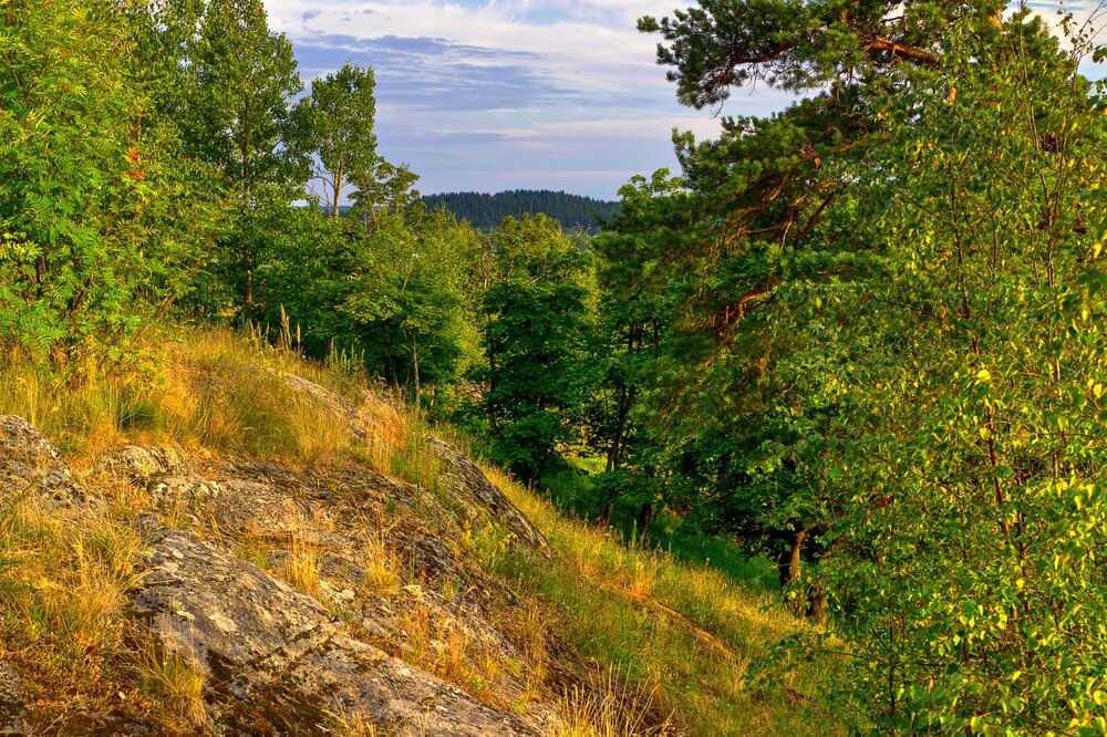 IMG_0962 Парк Ваккосалми.jpg