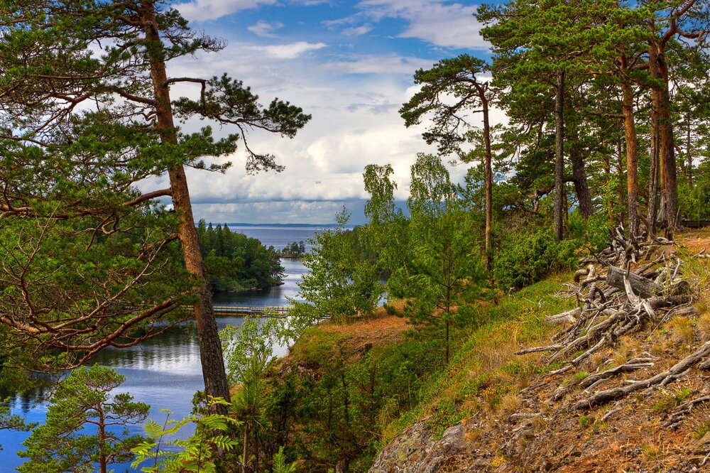 06 IMG_9940 Валаам Вид с горы Елеон.jpg