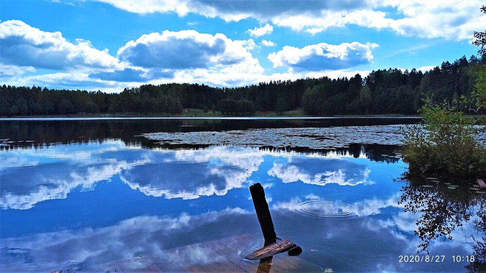 IMG_20200827_101855 1.jpg