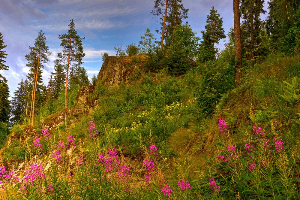 02 IMG_0975 Парк Ваккосалми Скала.jpg