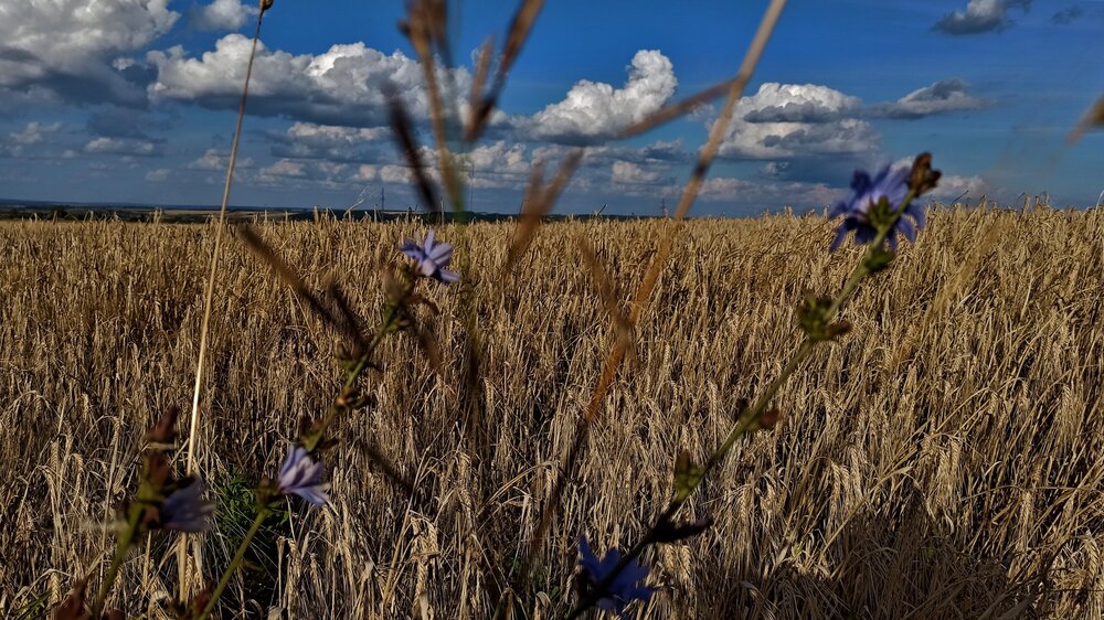 IMG_20200825_161927 1.jpg