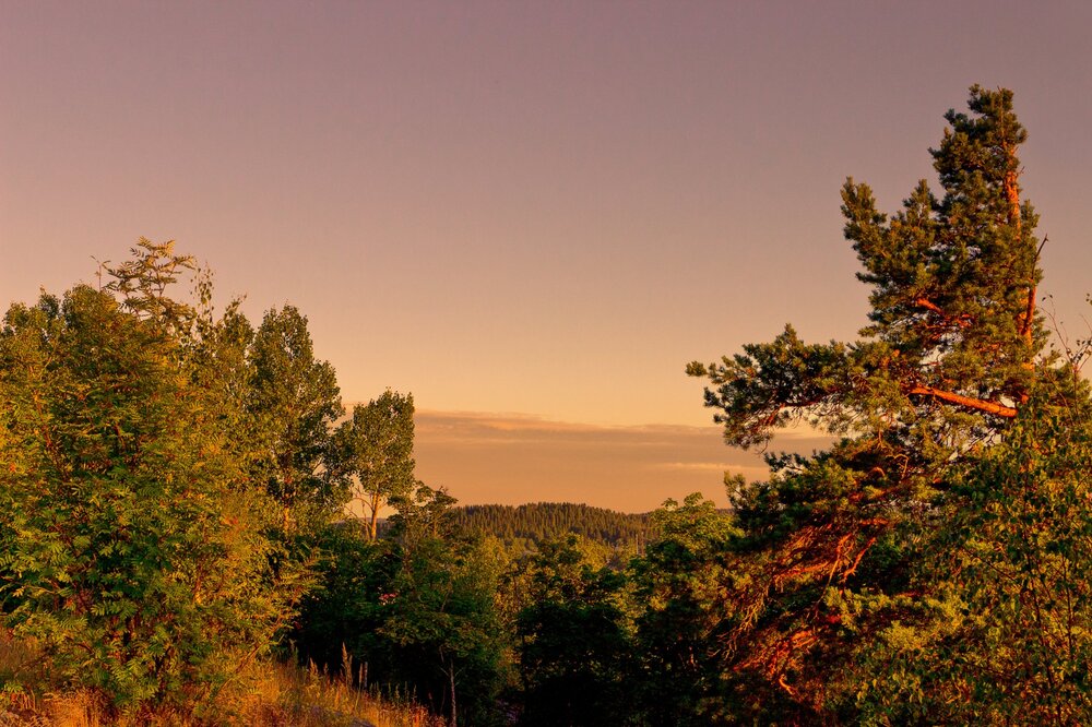 IMG_9999 Парк Ваккосалми Закат.jpg