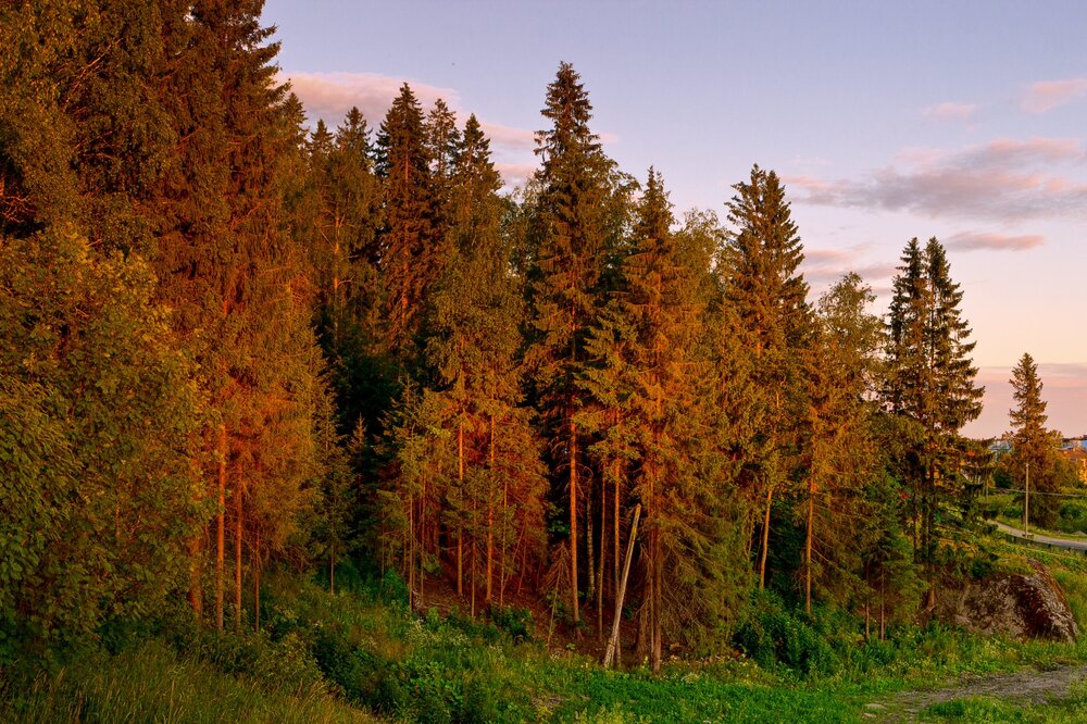 IMG_0658 Парк Ваккосалми Закатr.jpg