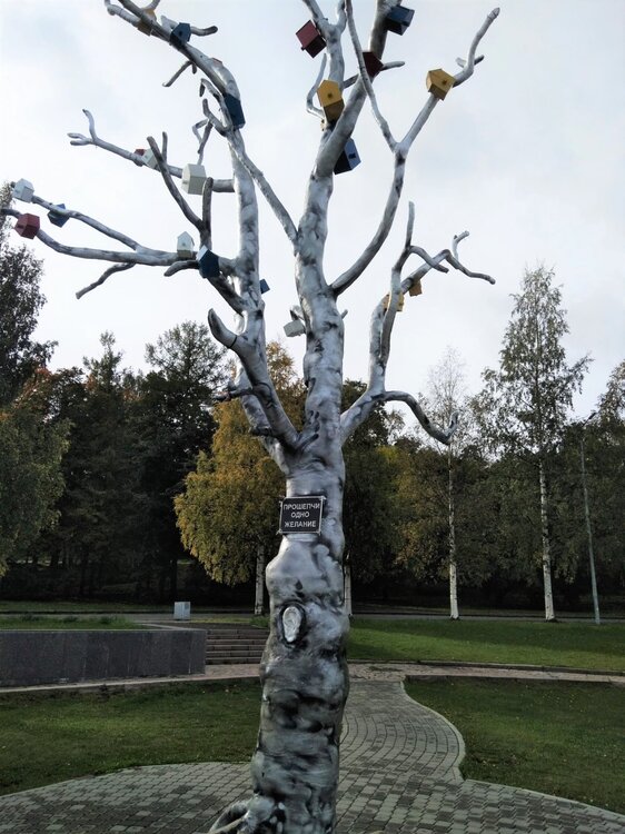 IMG_20200921_113140 копия.jpg