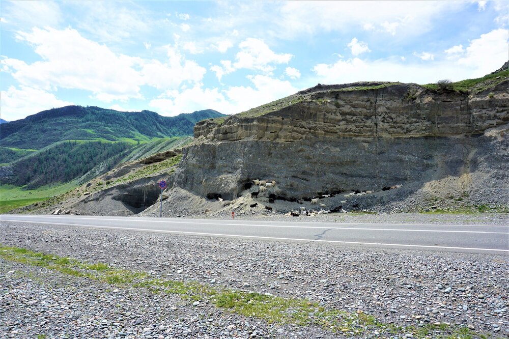 Фотопауза 37.jpg