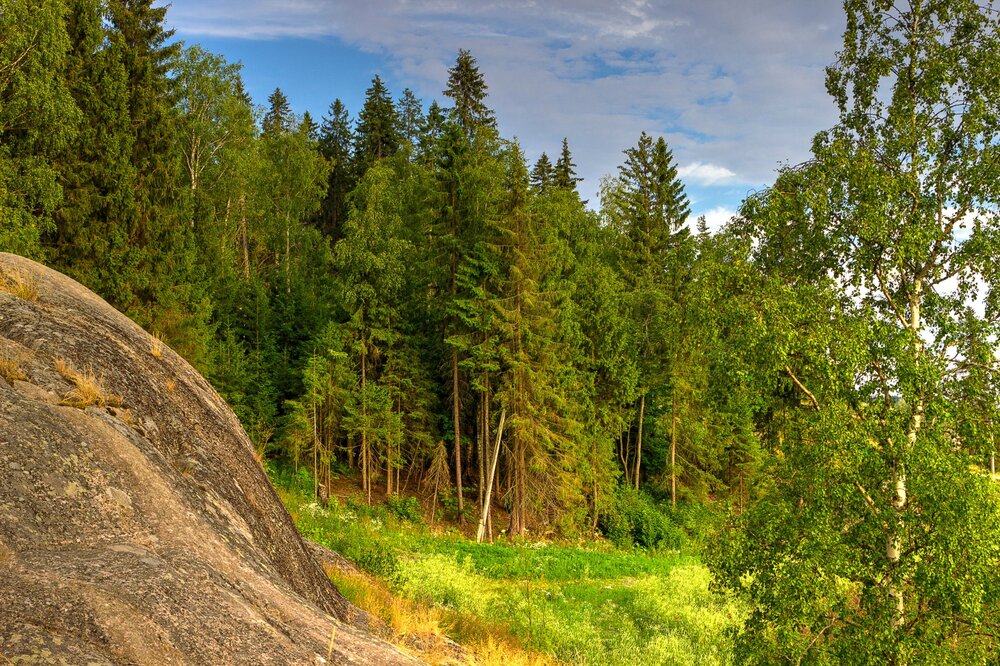 IMG_0914 Парк Ваккосалми.jpg