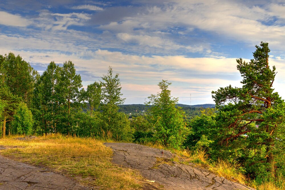 IMG_0958 Парк Ваккосалми.jpg