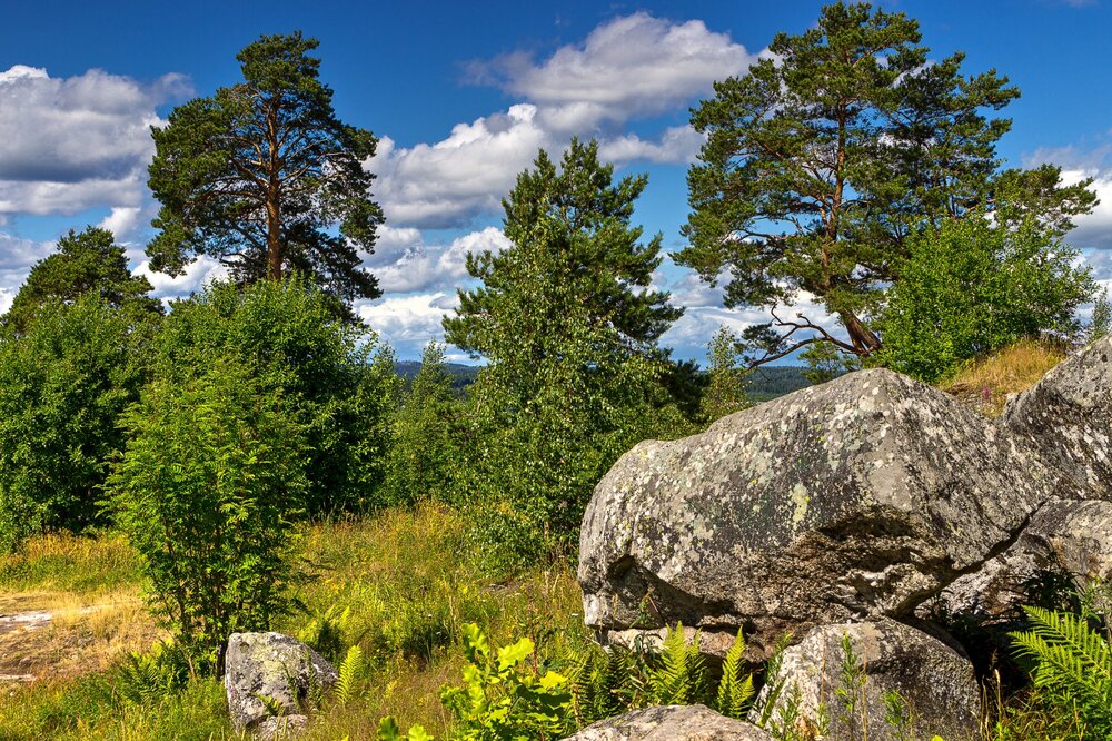 IMG_0365 Паасо.jpg