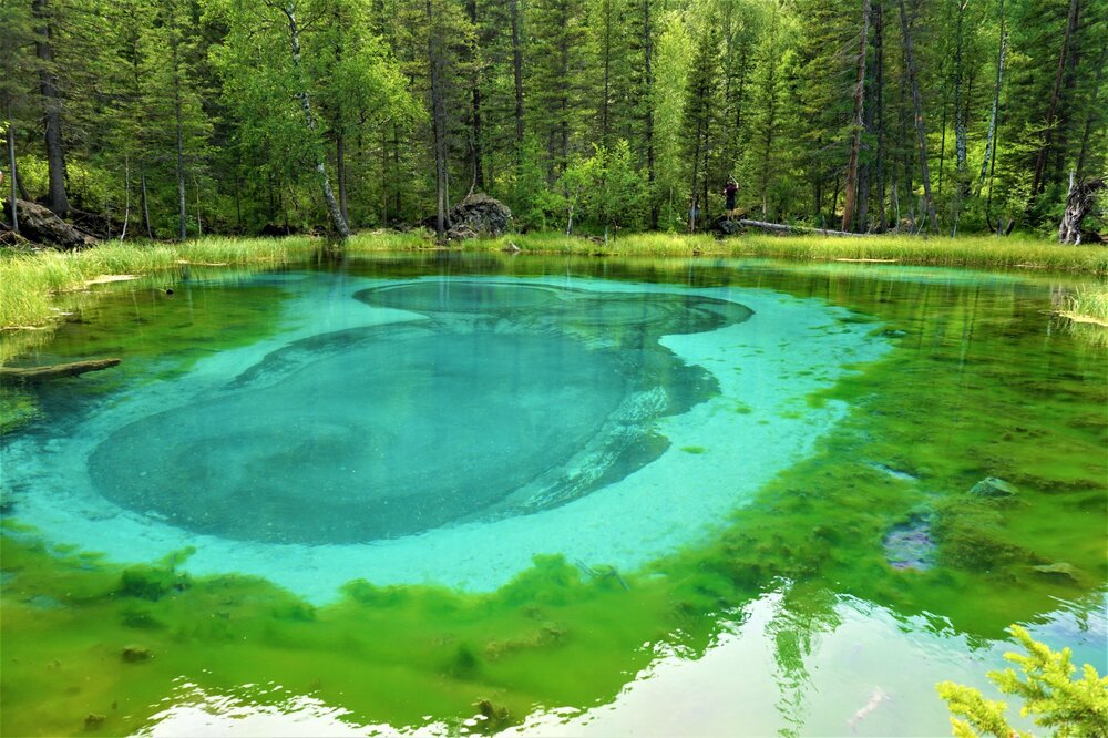 Алтай озеро7.jpg