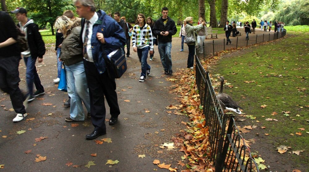 2010-10-04-Лондон-Сент-Джеймский парк-010.jpg