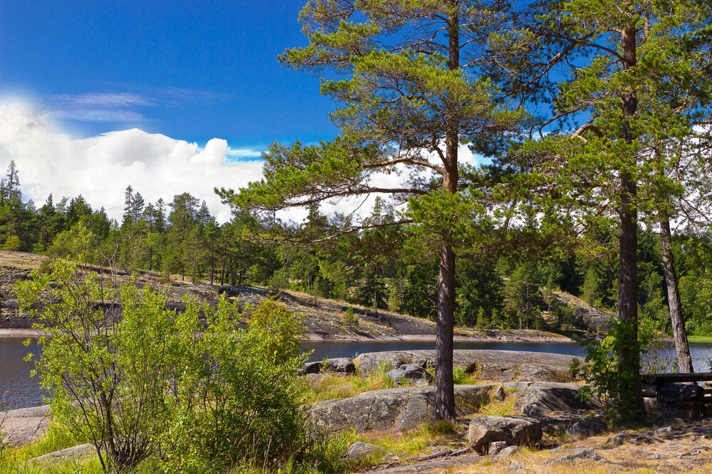 IMG_0224 Остров Хонкасало.jpg