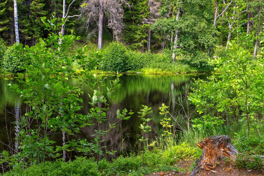 IMG_9974 Озера Валаама.jpg