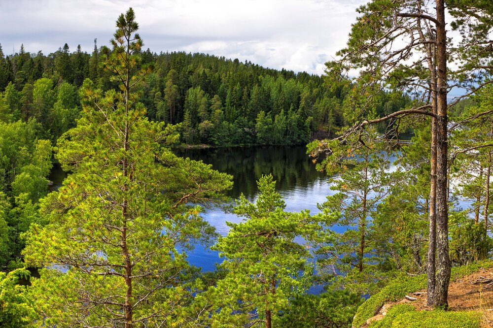 IMG_9924 Валаам.jpg