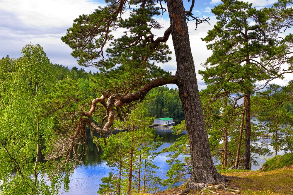 IMG_9947 Валаам.jpg