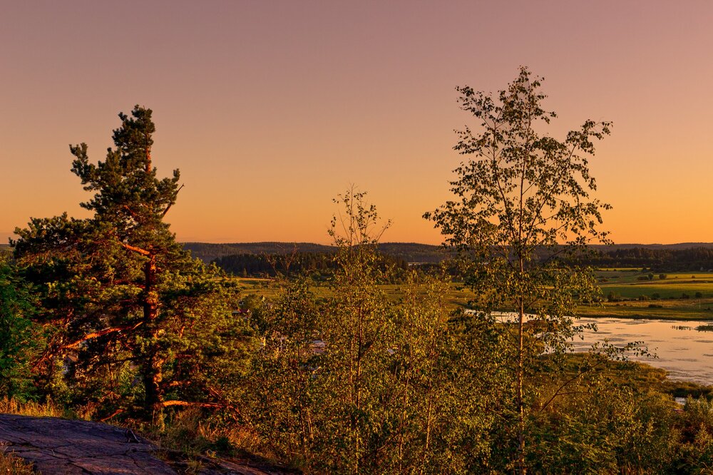 IMG_0596 Парк Ваккосалми Закат.jpg