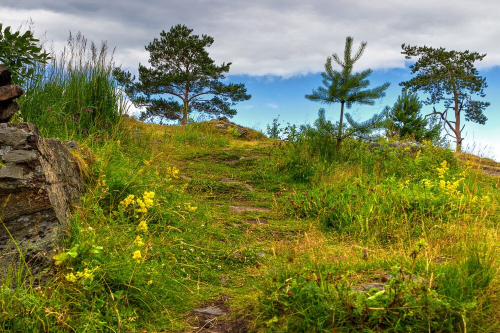 IMG_0270 Паасо.jpg