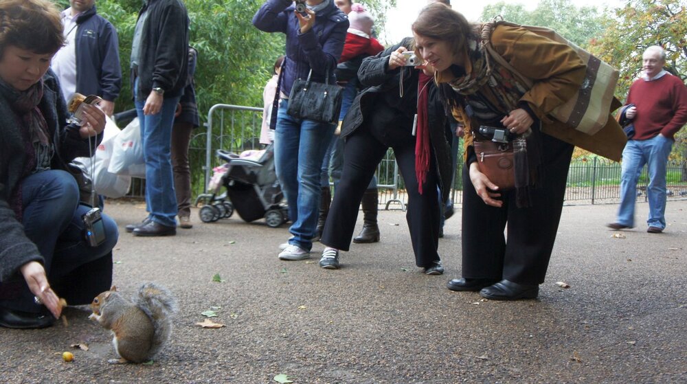2010-10-04-Лондон-Сент-Джеймский парк-006.jpg