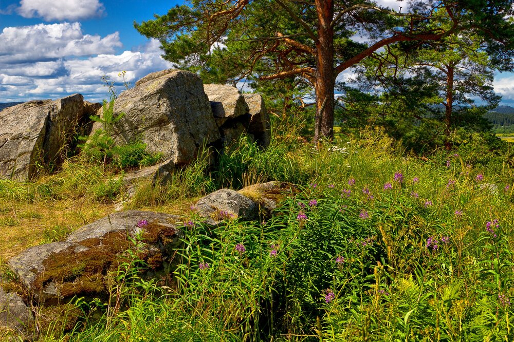 IMG_0342 Паасо.jpg