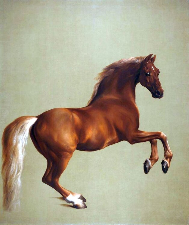 Джордж Стаббс – Whistlejacket - 1762.jpg