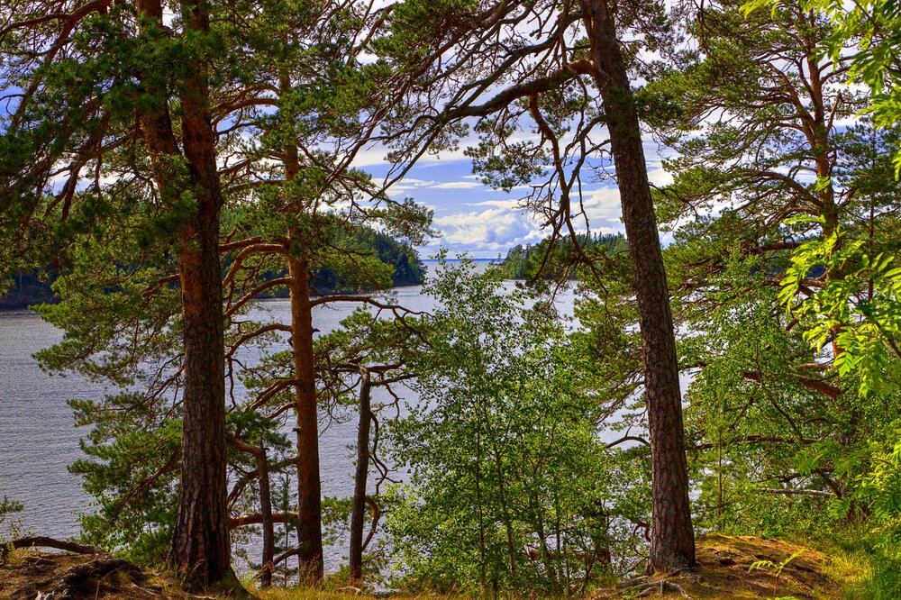 IMG_9993 Валаам.jpg