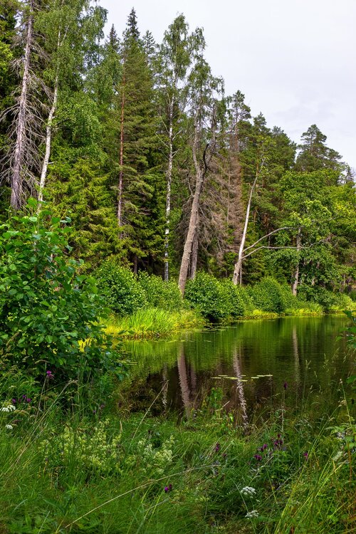 IMG_9971 Озера Валаама.jpg