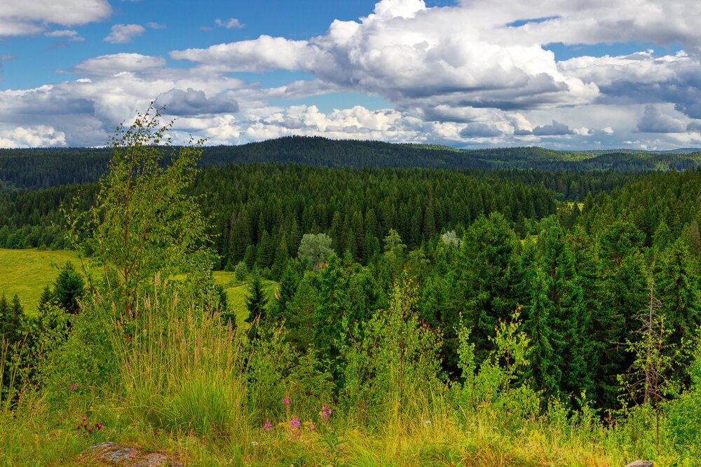 IMG_0271 Паасо.jpg