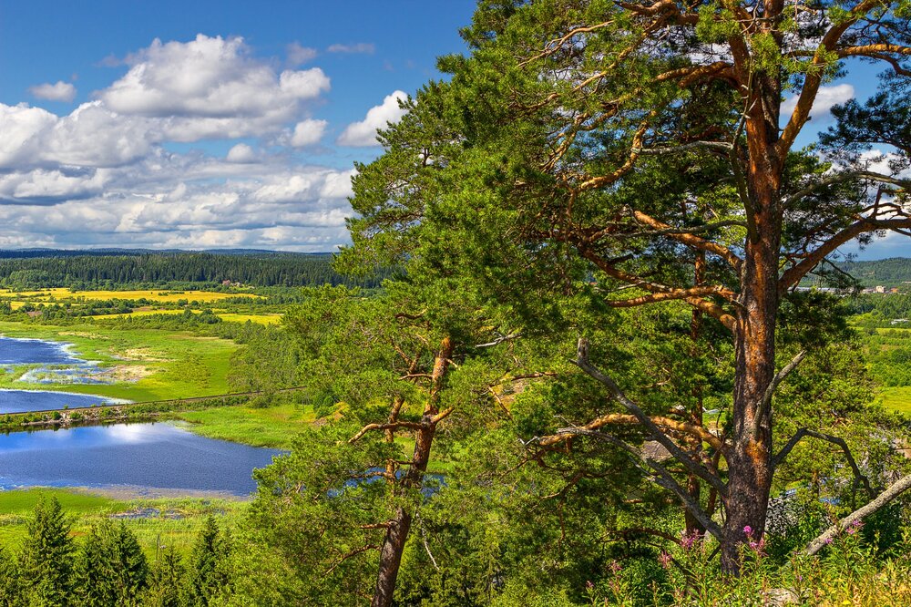 IMG_0361 Паасо.jpg