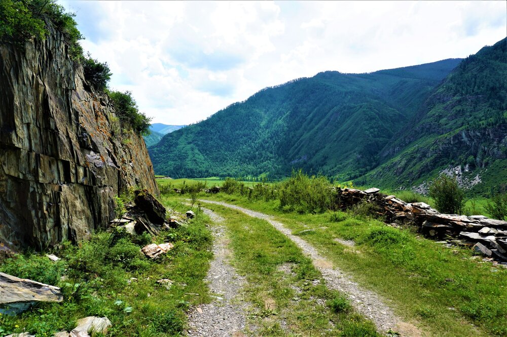 Алтай. тракт15.jpg