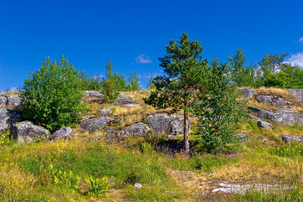 IMG_0357 Паасо.jpg