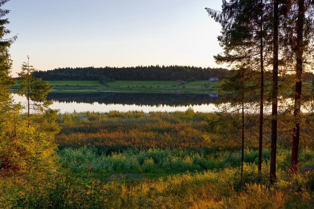 IMG_0631 Парк Ваккосалми Закат.jpg