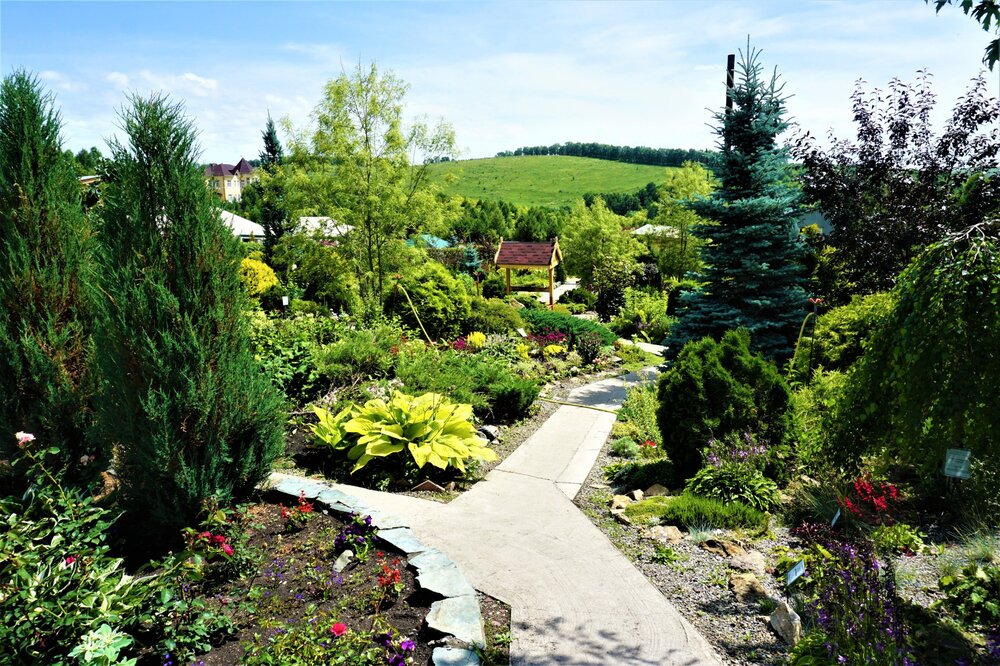 Холм( колодец2).jpg