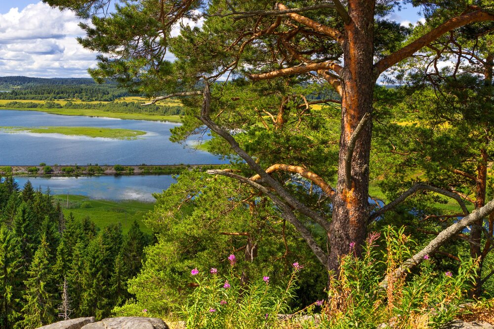 IMG_0338 Паасо.jpg